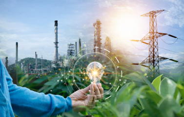 Consumer Electronics